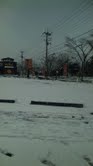 110318_084913